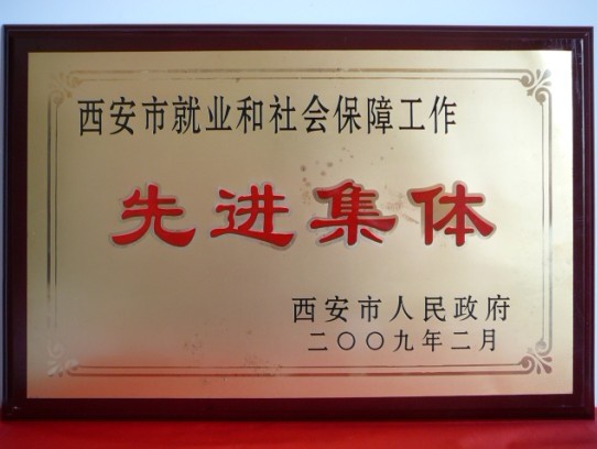 2009年2月，被西安市当驹炖为西安市就业和社会保险工作先进集体