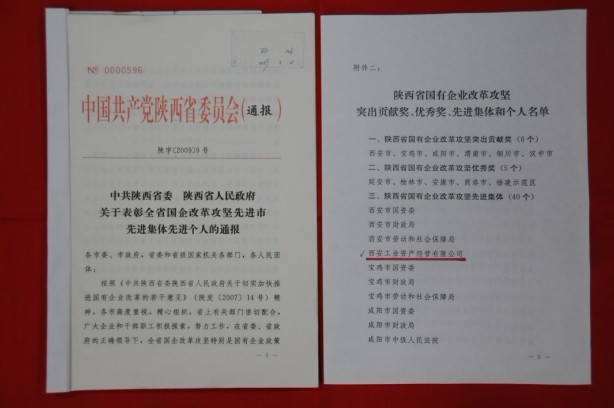 2009年2月，被陕西省委、省敌灾授予陕西省国有企业鼎新攻坚先进集体